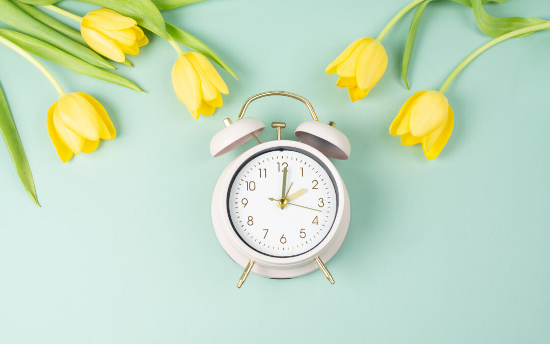 Daylight Savings Time Spring Ahead