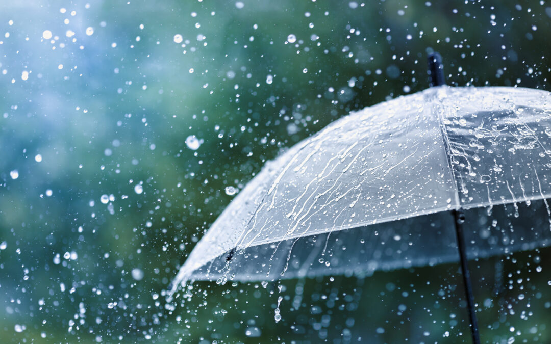 Staying Proactive and Prepared for the Risks of Summer Storms