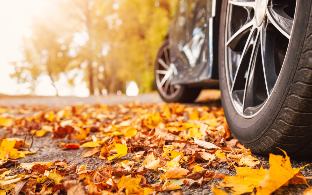Fall Driving Hazards: Strategies for Fleets and Commuters