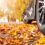 Fall Driving Hazards: Strategies for Fleets and Commuters