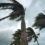 Safety in the Storm: Driving and Securing Property During Heavy Winds