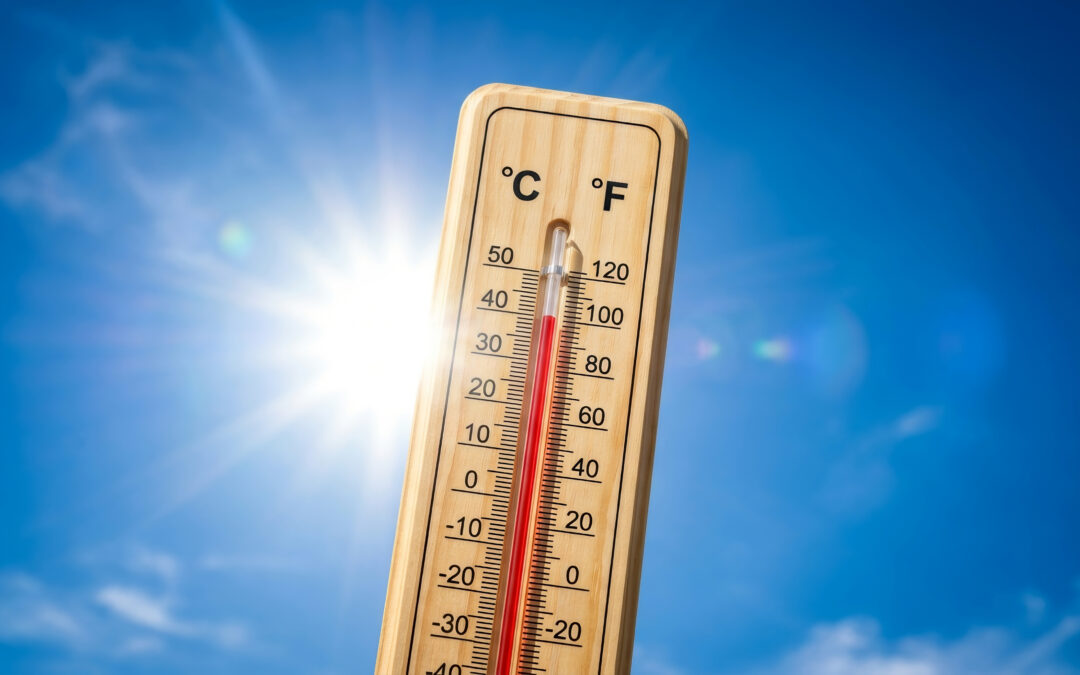 Summer Risk Management Practices
