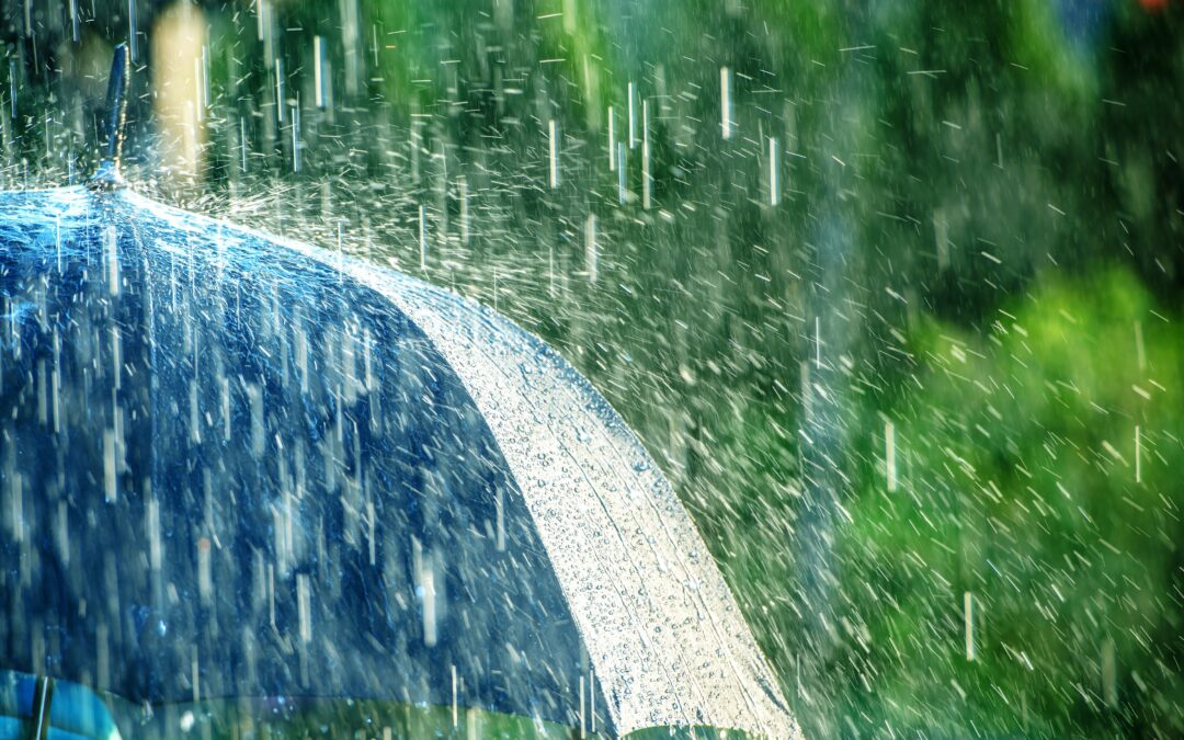 Summer Rainstorms and Afternoon Showers