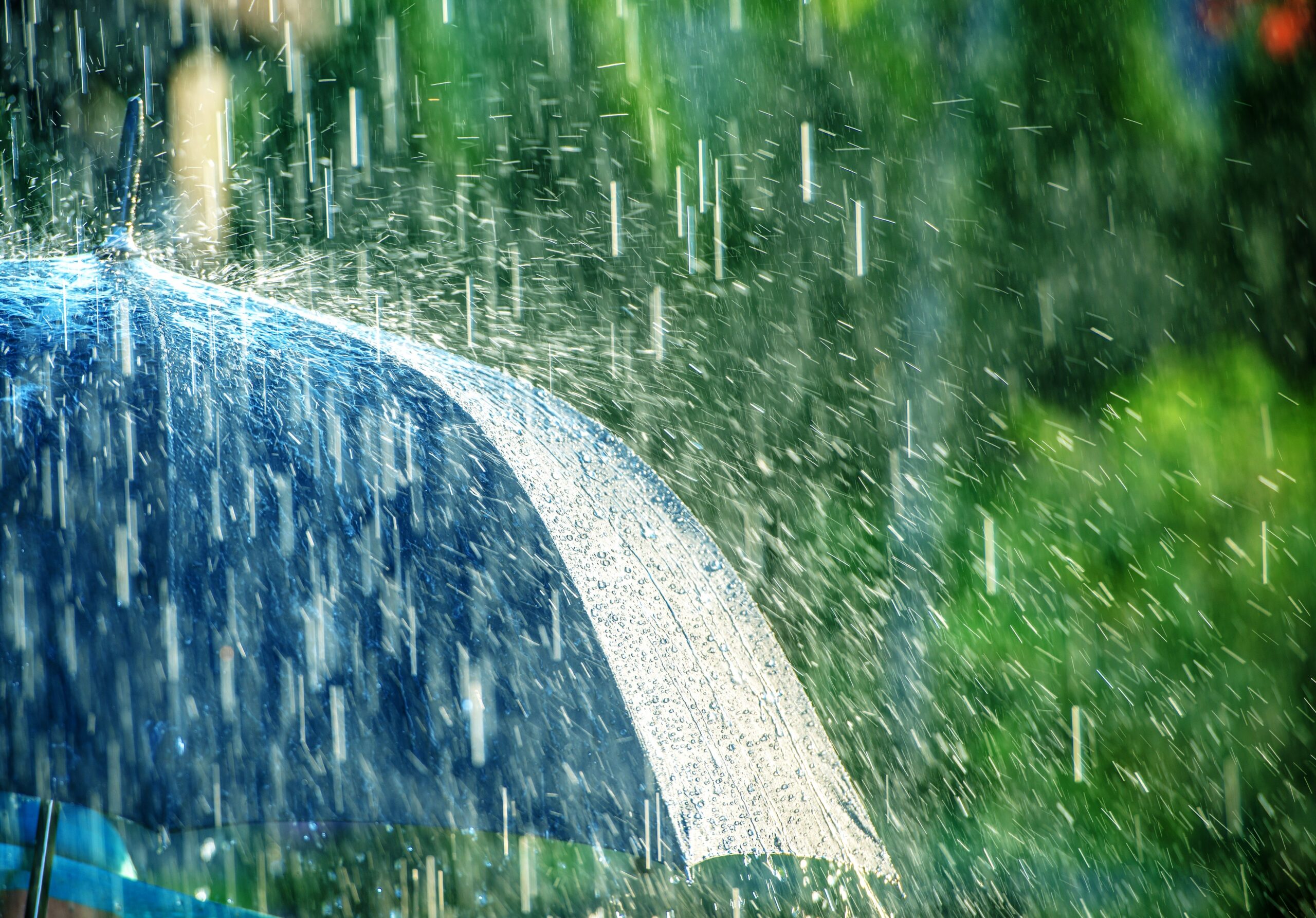 Summer Rain Storm